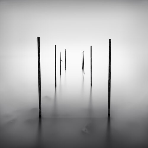 old jetty poles in the water