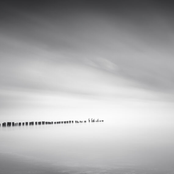 Black and white long exposure photograph of cormorants perched on a row of wooden breakwater poles on a misty beach.