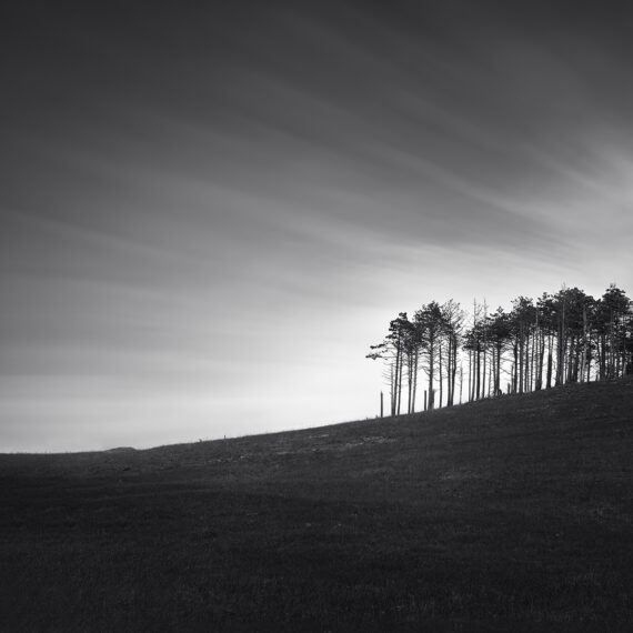 trees on a hill with long exposure sky in monochrome
