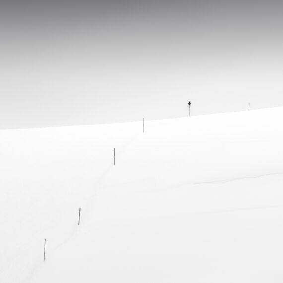 A row of ski poles on a hill in the snow