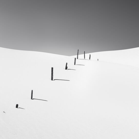A row of poles in the snow with shadows